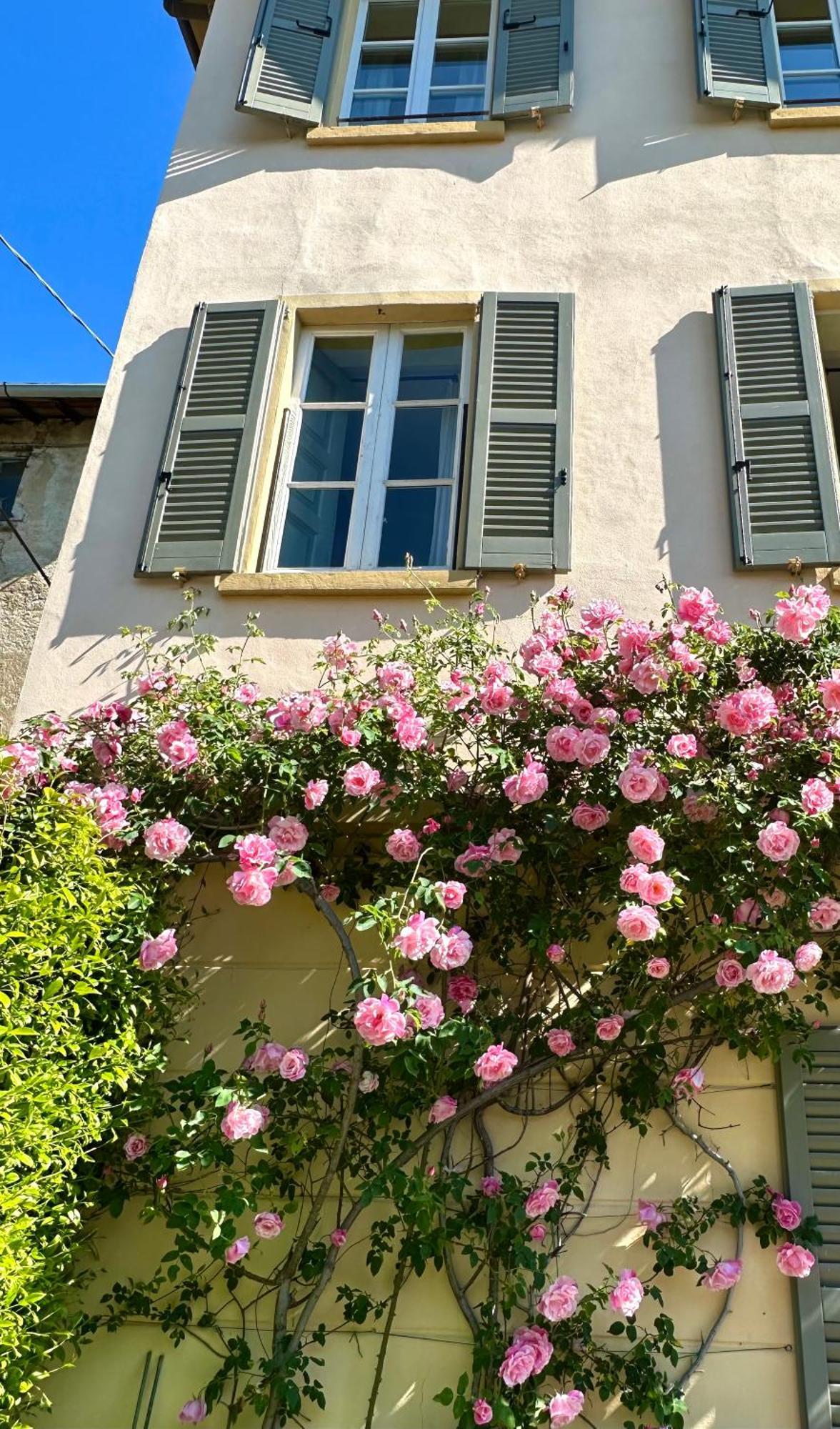 Corti Lakeview Frühstückspension Como